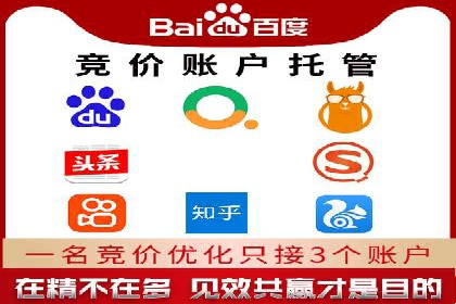 案例对比：SEO与SEM优化效果深度分析